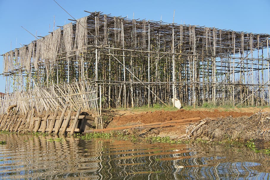 construction, scaffolding, scaffold, bamboo, bamboo scaffolding, support, site, build, on the water, water