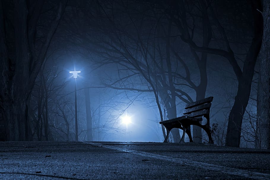 photography, black, bench, bare, tree, road, park, night, the fog, the darkness