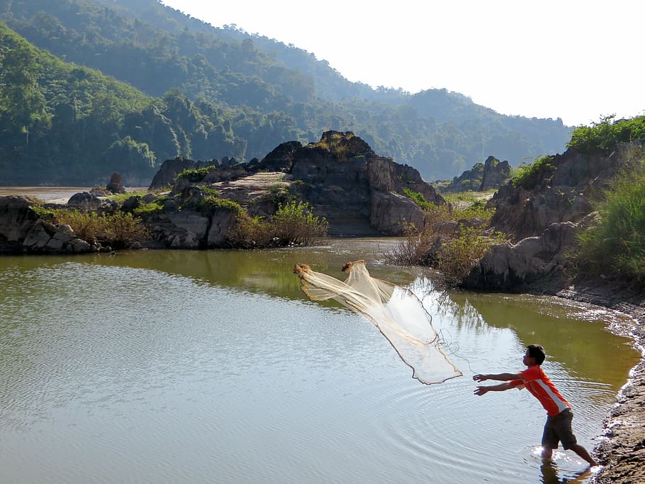 laos, mékong, fishing, fisherman, net, sparrowhawk, nature, river, water, outdoors