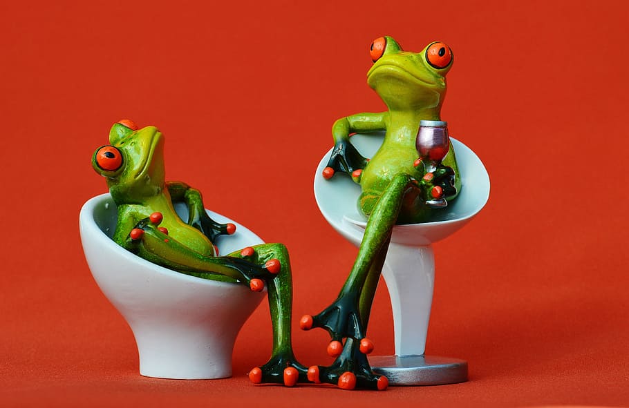 frog, chair, cozy, for two, drink, wine, soaked, cute, sweet, funny