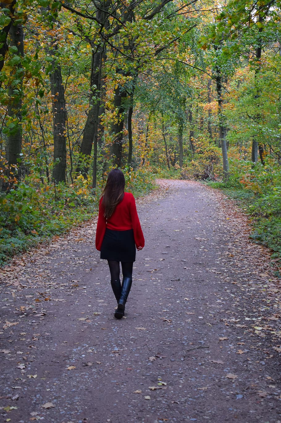 mujer, gente, modelo, otoño, naturaleza, bosque, árboles, una persona,  vista posterior, caminar | Pxfuel