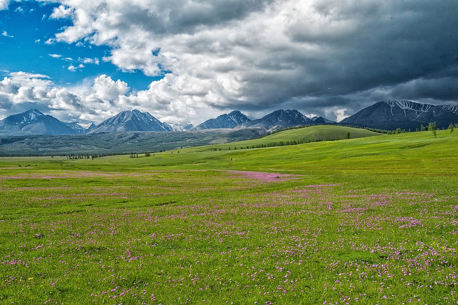 Paisagem, as montanhas da fronteira da Mongólia e da Rússia, envie por fax a parte noroeste, Prado, Mongólia, natureza, montanha, paisagens, grama, campo