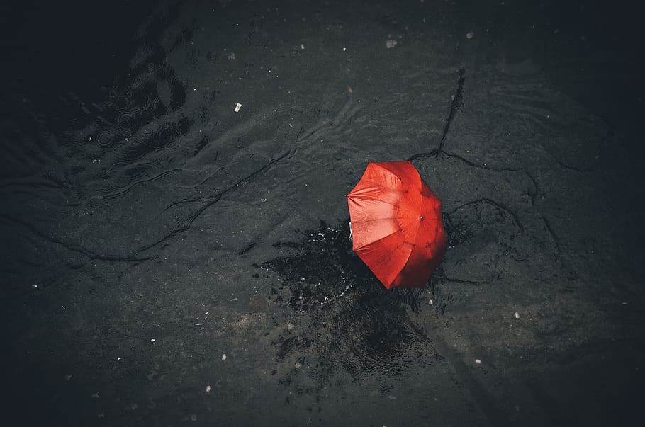 rain, monsoon, red, black, umbrella, nature, clouds, water, waterlogged, dance