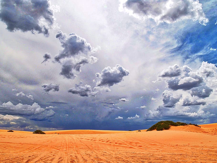 desierto, nubes, estados unidos, caliente, cielo, naturaleza, clima, lluvioso, agricultura, escena rural