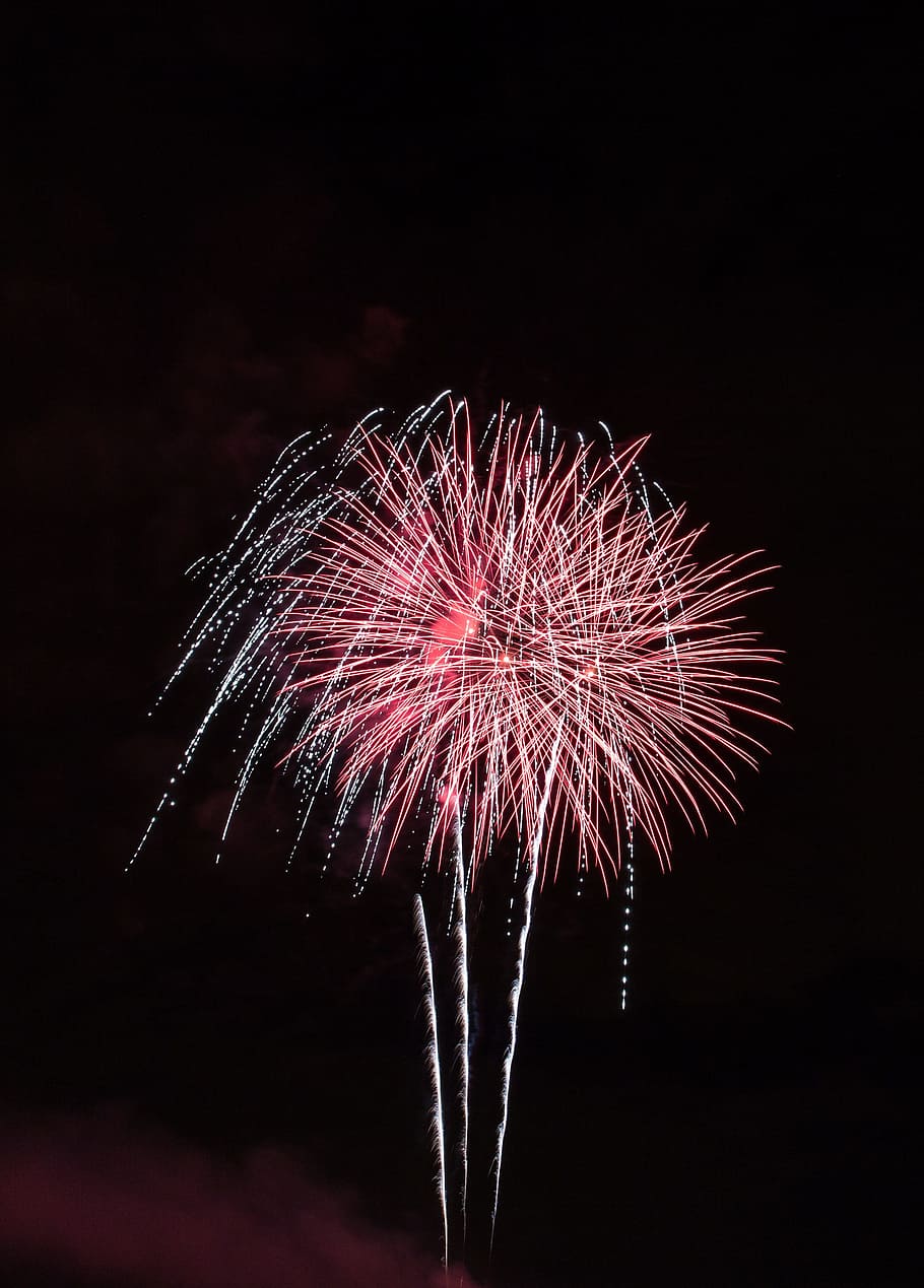 ピンクの花火イラスト 花火 夢 新年 クリスマス 花火大会 爆発 花火 人工のオブジェクト お祝い 夜 Pxfuel