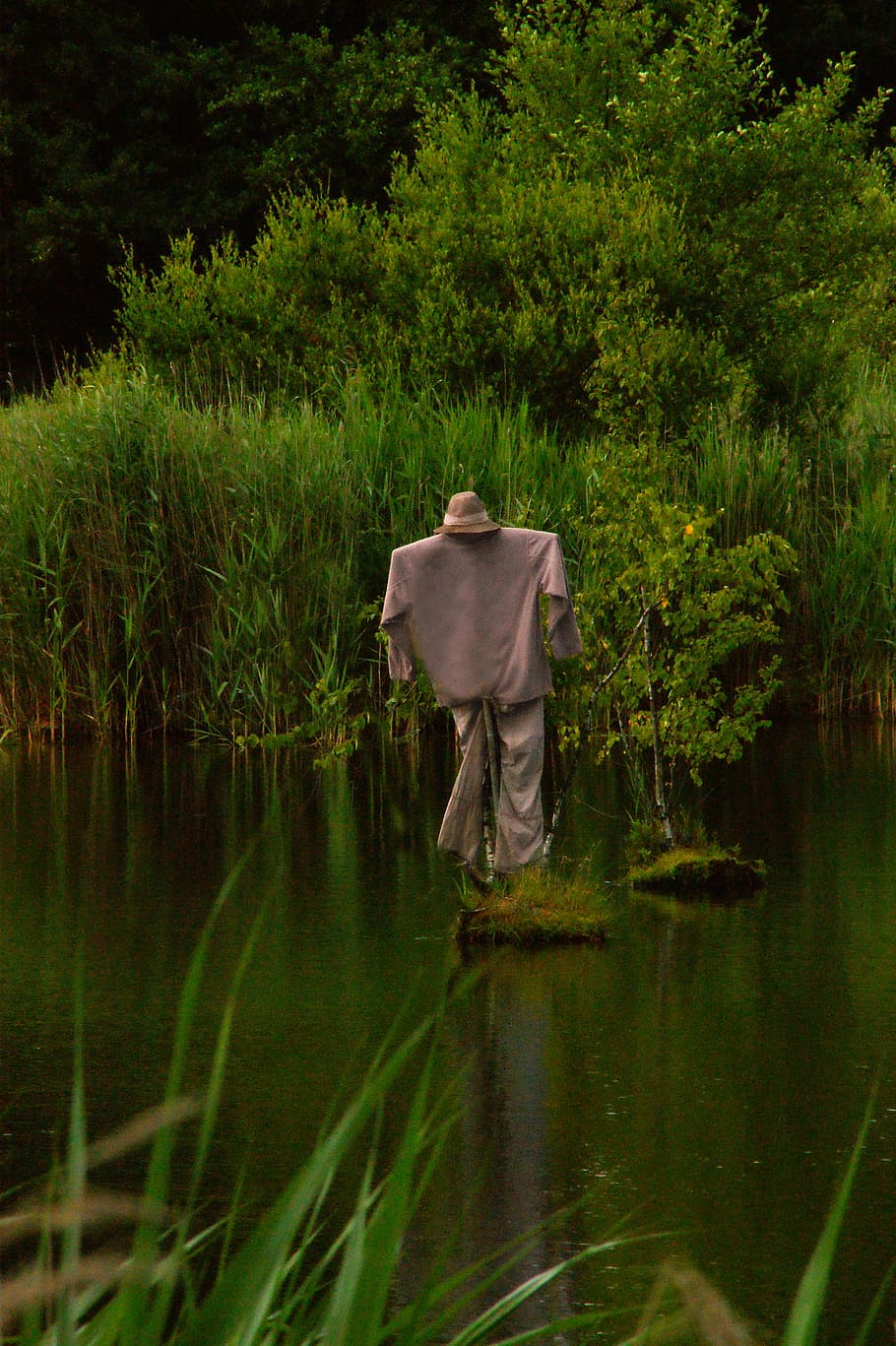 water scarecrow, water, lans, trees, switch off, lake, relax, nature, mood, landscape