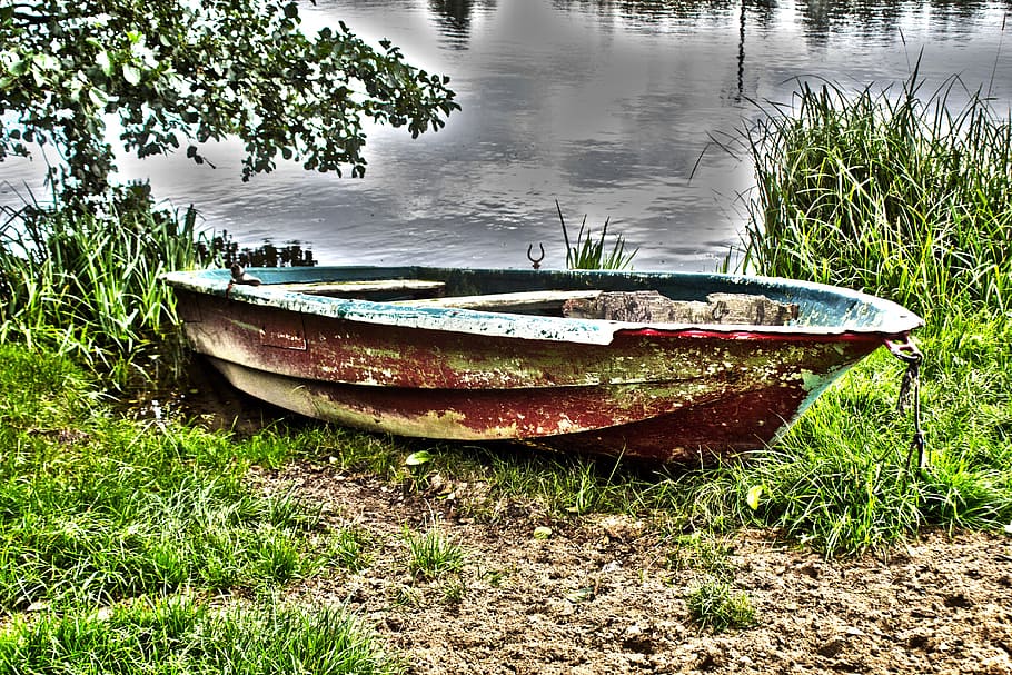 Rowing Boat, Boats, Bank, Rest, Water, nautical Vessel, nature, lake, outdoors, rowboat