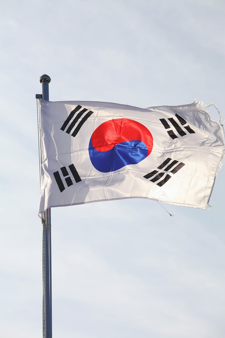 flag of korea, julia roberts, north summit flag, flag, korea, republic of korea, the national flag of korea, south korea flag, sky, low angle view
