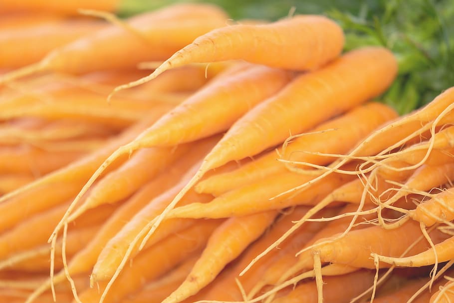 lote de zanahoria naranja, zanahorias, verduras, bio, frisch, zanahorias rojas, gobierno federal, zanahorias federales, alimentos, saludable