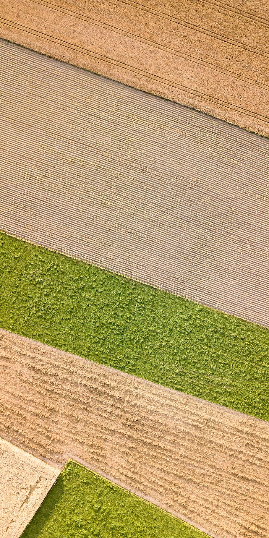 field, agriculture, from above, summer, nature, green color, full frame, backgrounds, pattern, grass