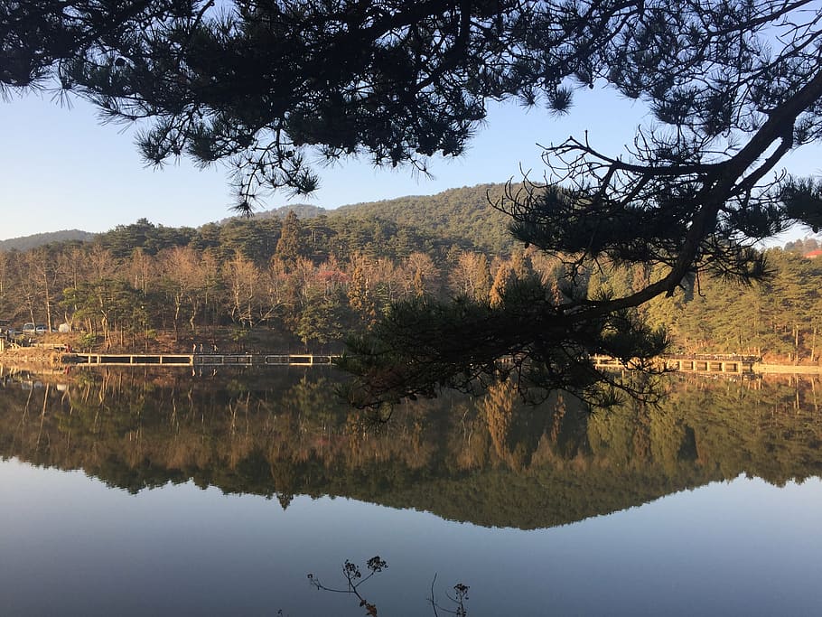 this is also my lushan captured, the water is still very thorough, i like everything here, tree, water, reflection, plant, lake, tranquility, beauty in nature