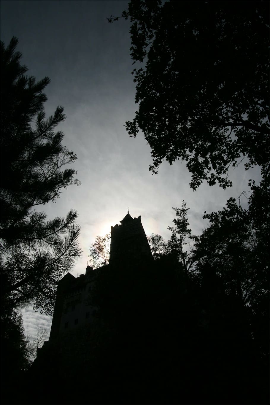 foto de baixo ângulo, construção, árvore, castelo, arquitetura, antiga, drácula, silhueta, escuro, gótico