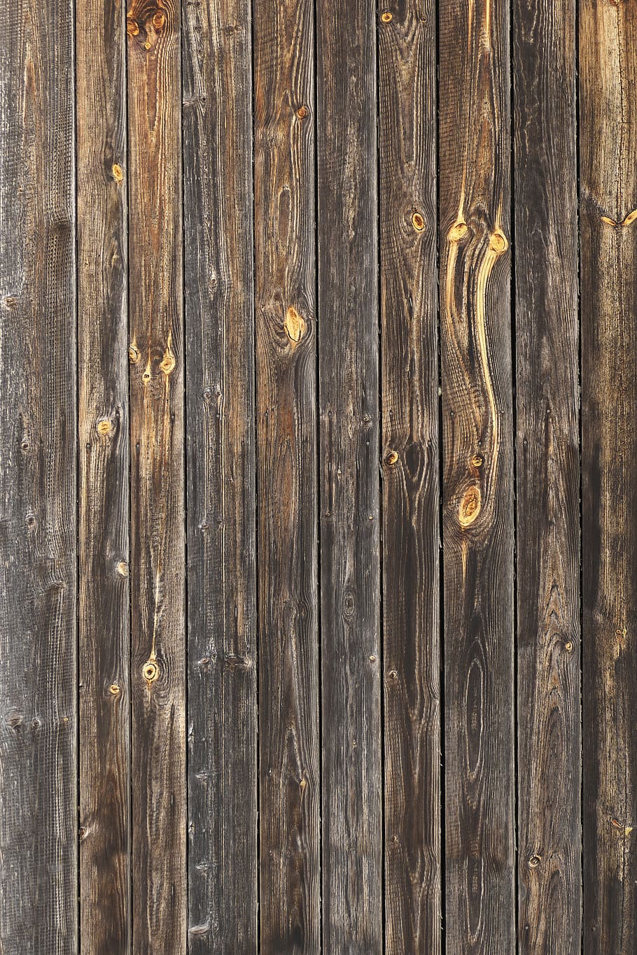 wooden boards, boards, wooden gate, old, weathered, branches, battens, wood, board, background