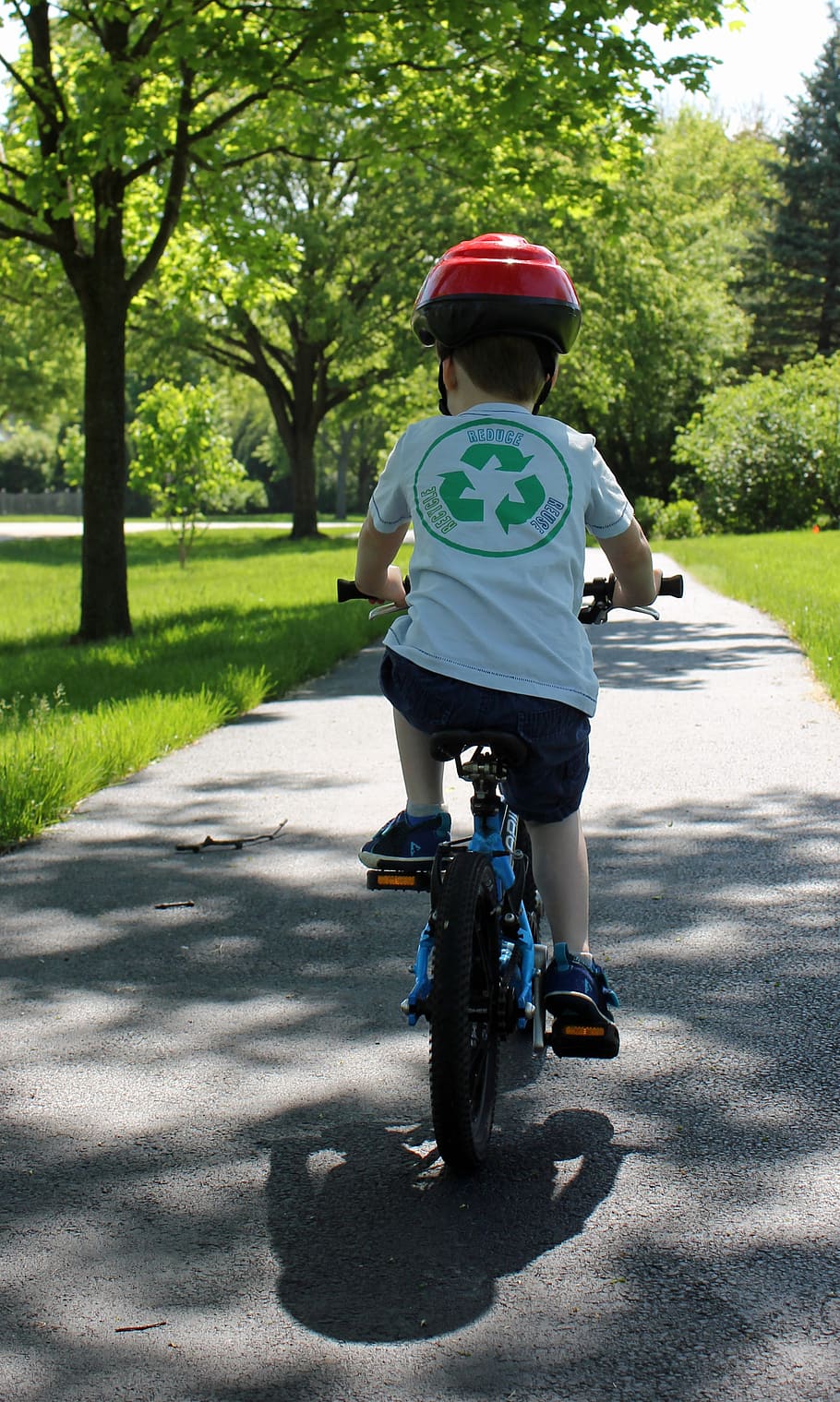 cycling, child on bike, recycle, three years old, pedal power, bike, rear view, transportation, full length, tree