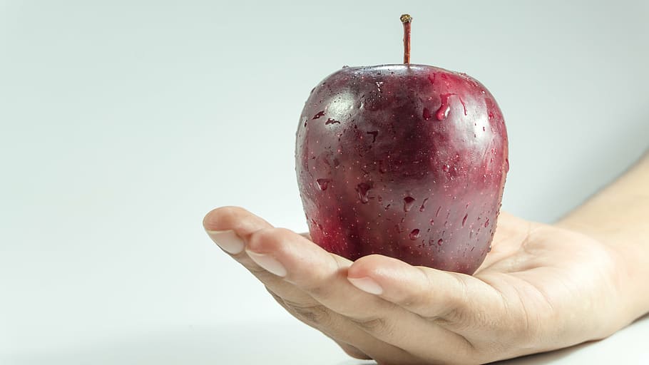 foto, pessoa, exploração, vermelho, fruta da maçã, maçã, mão, mulher, comida, saudável
