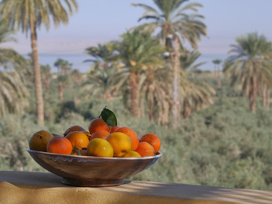 oasis, fayoum, egypt, fruits, palm trees, vacations, travel, romantic, landscape, exotic