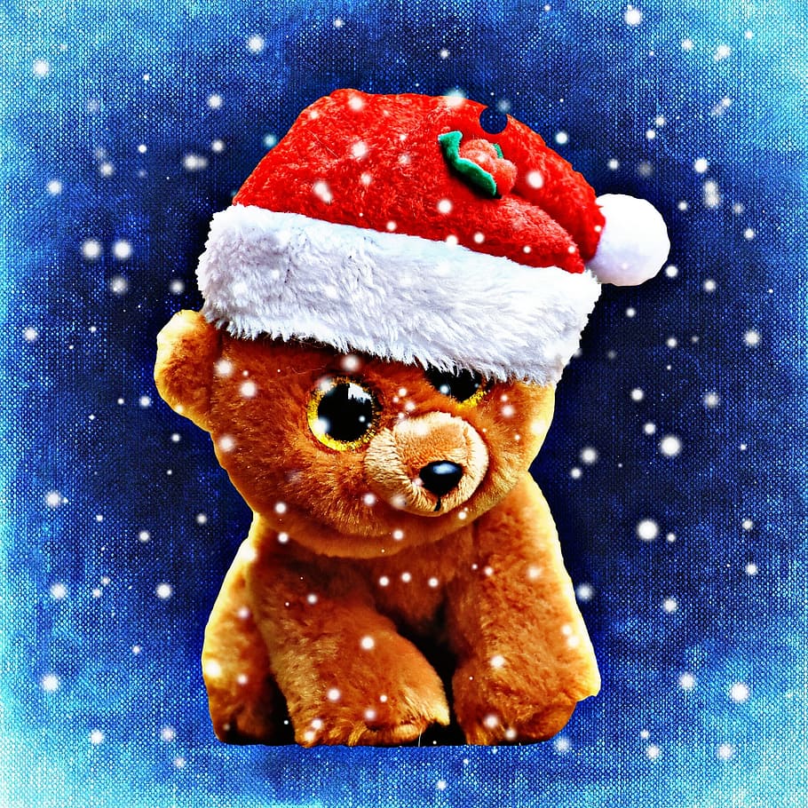 クリスマス, テディ, クマ, ぬいぐるみ, サンタ帽子, おもちゃ, かわいい, キラキラの目, 面白い, 甘い