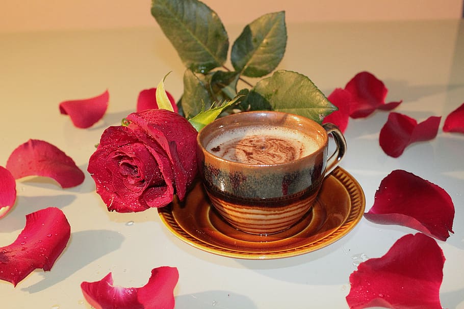 rose, coffee, cup, foam, drink, petals, freshness, food and drink, plant, flower
