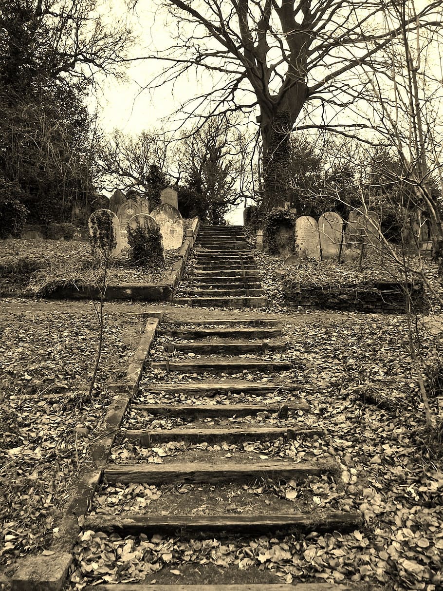 Cemetery, Steps, Graveyard, Grave, Old, tomb, dead, churchyard, norfolk, norwich