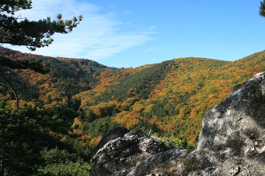 estado de ánimo de otoño, roca, otoño, naturaleza, bosque, paisaje, árbol, montaña, hoja, al aire libre