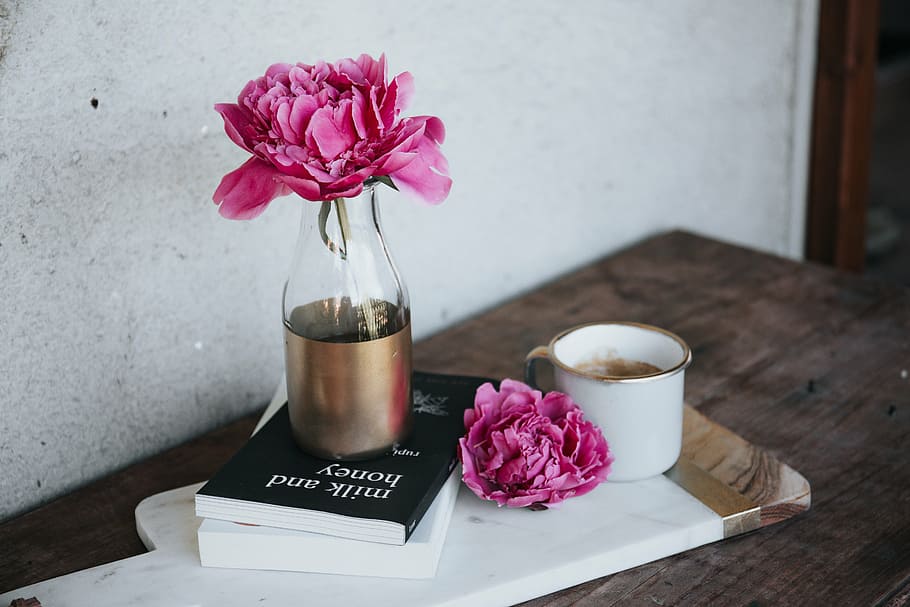 rosa, flor, claro, vaso de vidro, colocado, topo, preto, coberto, livro, vaso