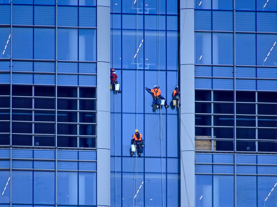 window washer, abseiling, cleaning, glass, building, climbing, windows, building exterior, architecture, occupation