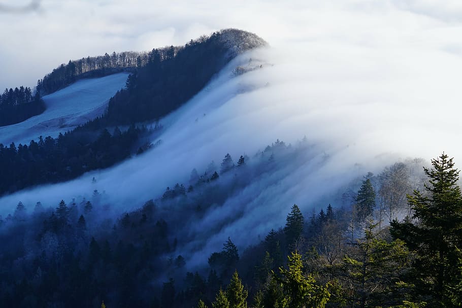 nube, cubierto, bosque de montaña, niebla, nebellandschaft, ola de niebla, belchenflue, challhöchi, mar de niebla, jura