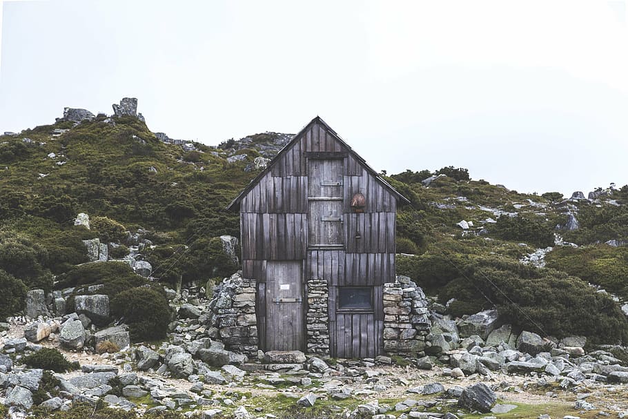 gray, wooden, shed, green, leafed, trees, brown, house, front, mountain