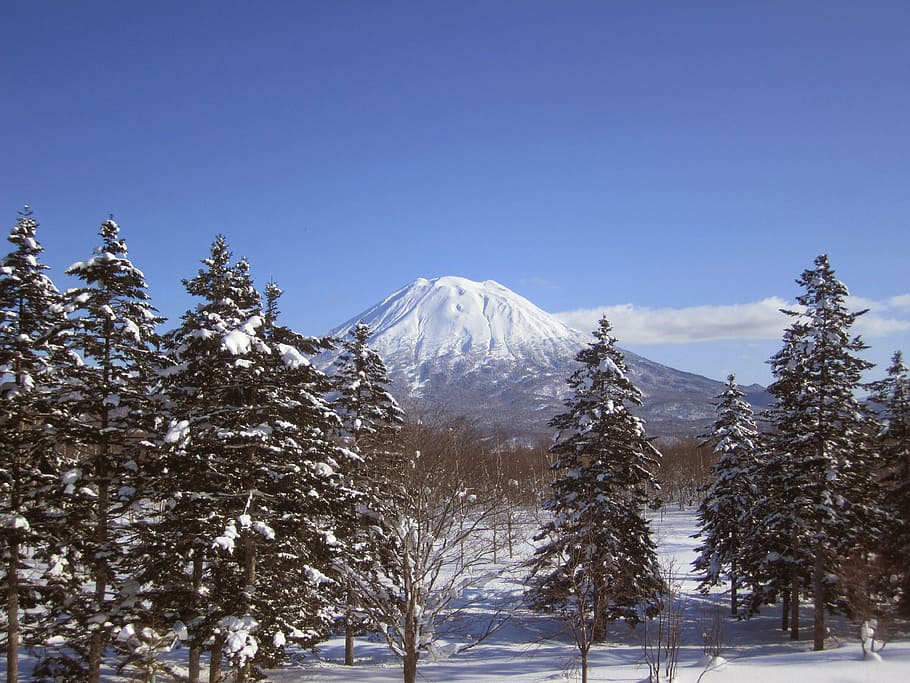 mount fuji, japan, mount yotei, niseko, japan, ski, snow, snowboard, powder snow, winter, skiing