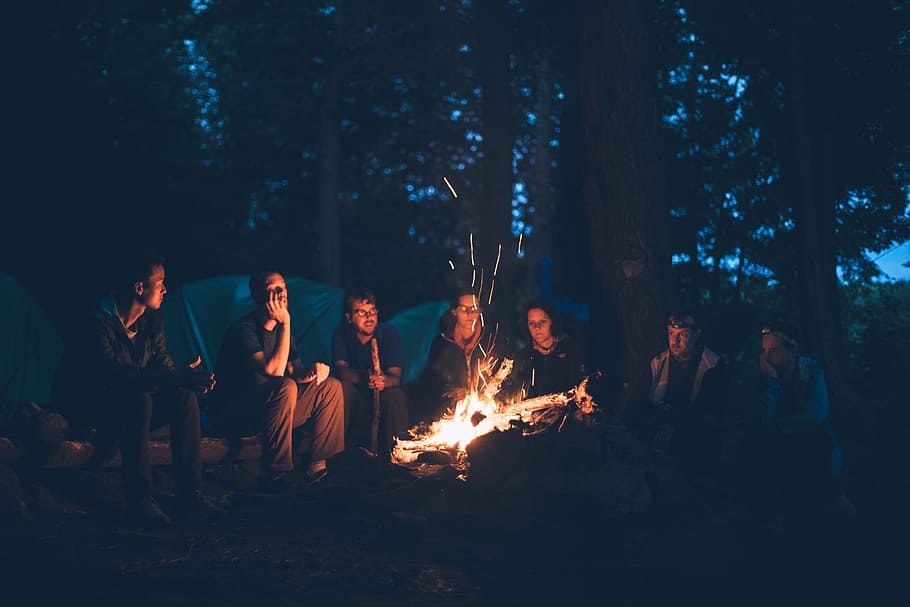 bonfire, surrounded, group, men, tents, trees, camping, fire, flame, light