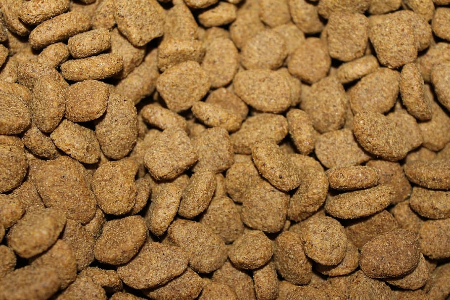 pet food, kibble, dog food, pet, dog, animal, feed, canine, brown, dry