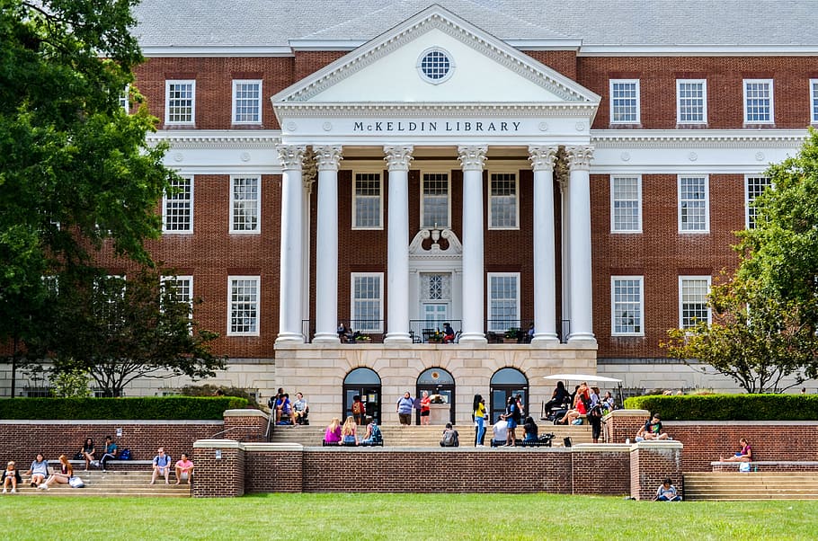 people, front front, mckeldin library, university, old building, campus, college, architecture, building exterior, built structure