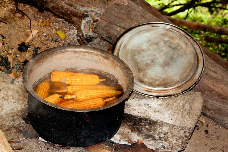 corn on the cob, cooking pot, campfire, boiling water, corn, vegetables, food, yellow, old, healthy
