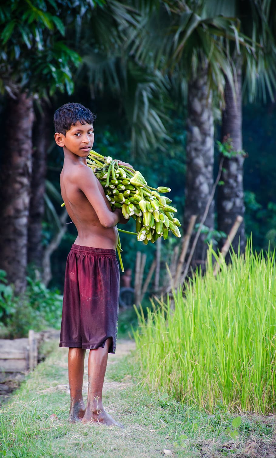 baby, boy, child, poor, plant, full length, one person, standing, real people, nature