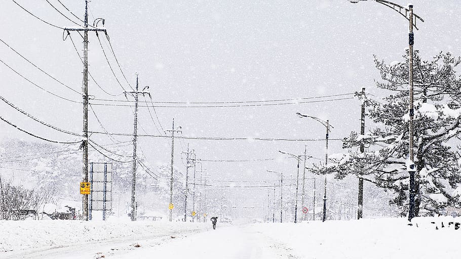 distância dos olhos, inverno, natureza, neve, um dia de neve, gangneung, sichuan, eletricidade, temperatura fria, cabo