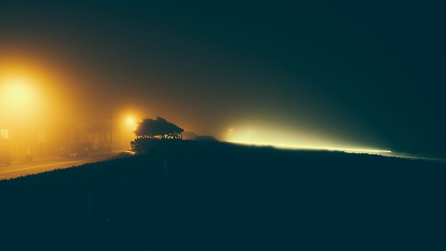 silhouette of trees, road, lights, night, time, dark, evening, fog, foggy, hazy