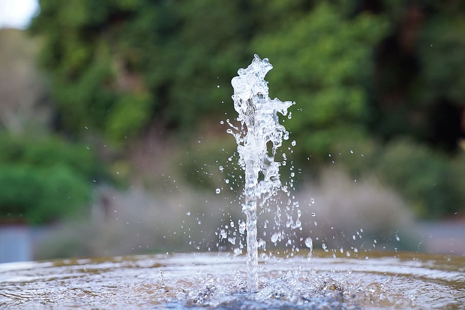 water fountain, water spurt, garden, gushing, refreshing, spout, water, motion, focus on foreground, nature
