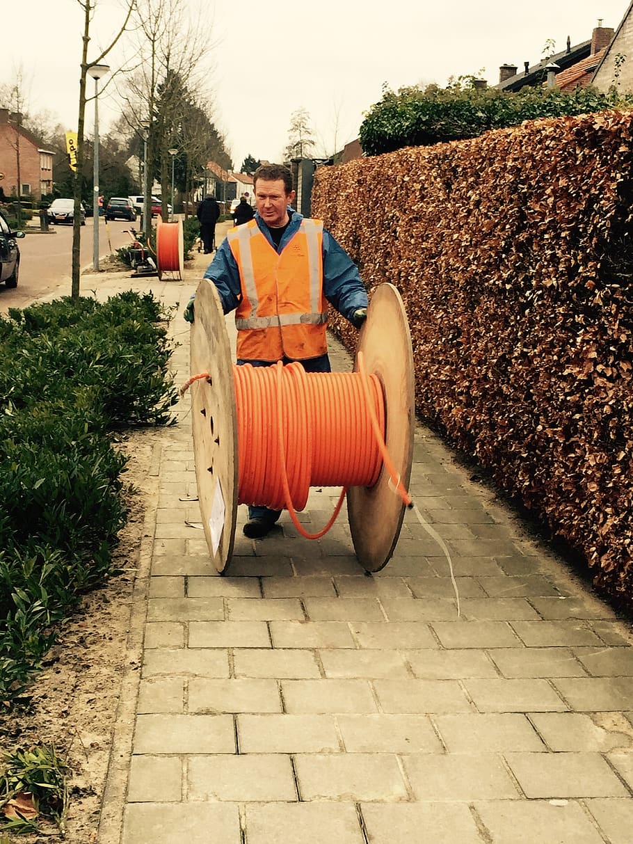 glass fiber, broadband, cable, eersel, brabant, one person, real people, looking at camera, plant, working