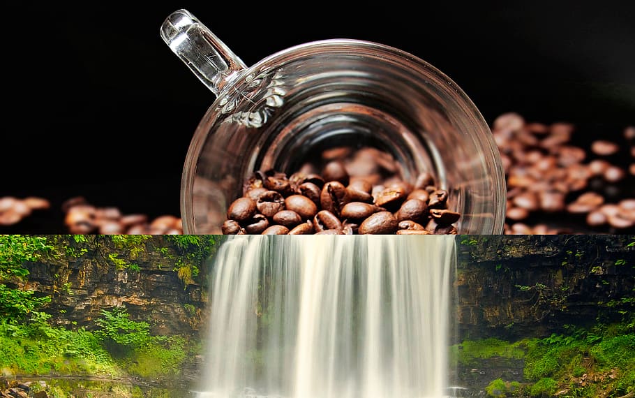 Coffee, Waterfall, River, summer, two in one, silence, 2 in one, harmony, nature, close-up