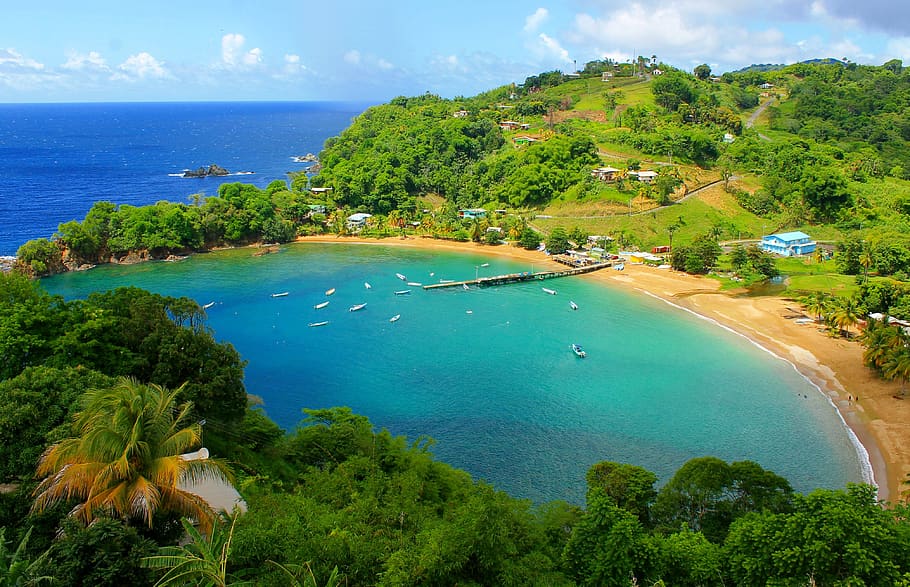 tobago, bay, landscape, beach, caribbean, water, sea, tree, scenics - nature, plant
