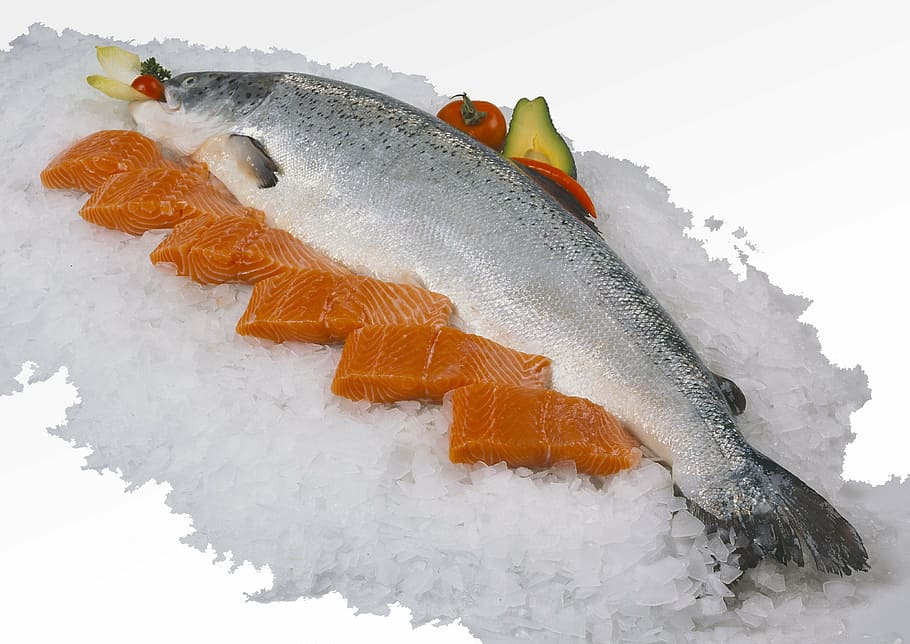 salmon, fillet, fresh, food, seafood, ice, freshness, fish, sea, prepared Fish