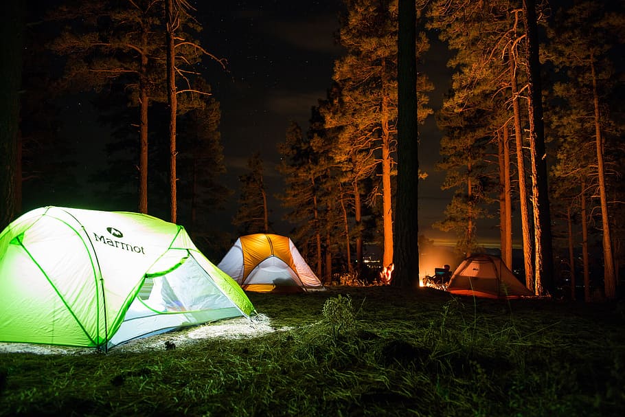 three, green, orange, tents, surrounded, trees, nighttime, camp, outdoor, travel