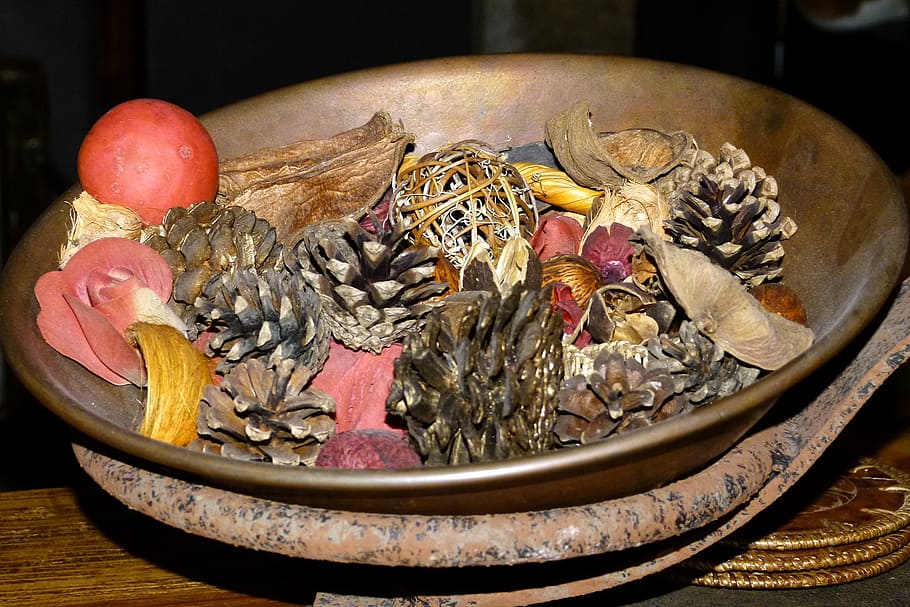 bowl, brass, antique, cones, pine, souvenir, nuts, fruits, dried, bark