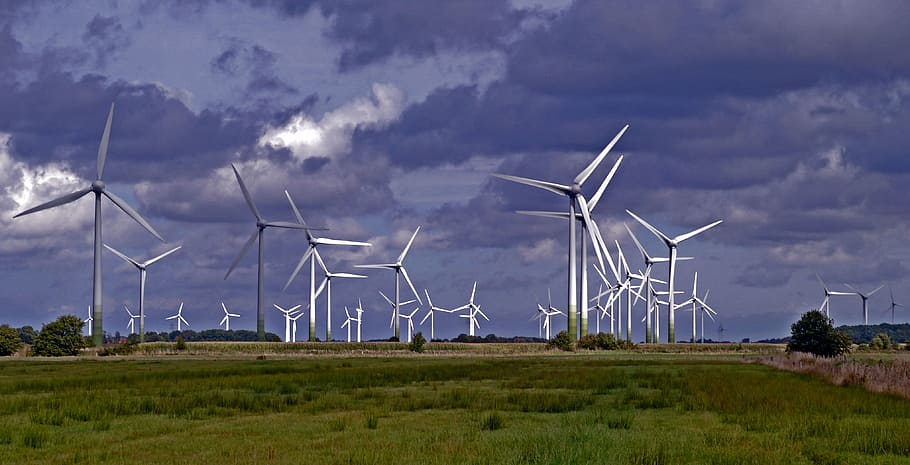 campo, parque eólico, plantas de energía eólica, windräder, rotor, energía eólica, generación de energía, energía, actual, medio ambiente
