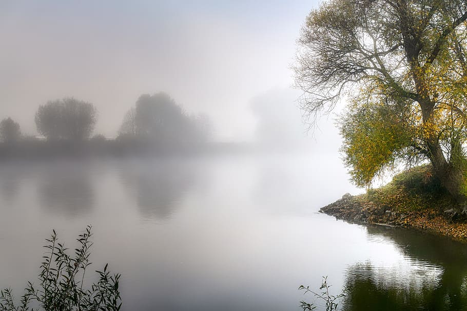 danube, fog, landscape, river, water, autumn, atmosphere, atmospheric, haze, tree