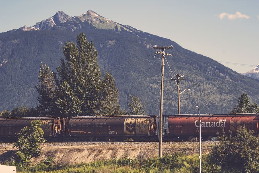 tren, ferrocarril, transporte, carga, montañas, árboles, colinas, líneas eléctricas, canadá, montaña