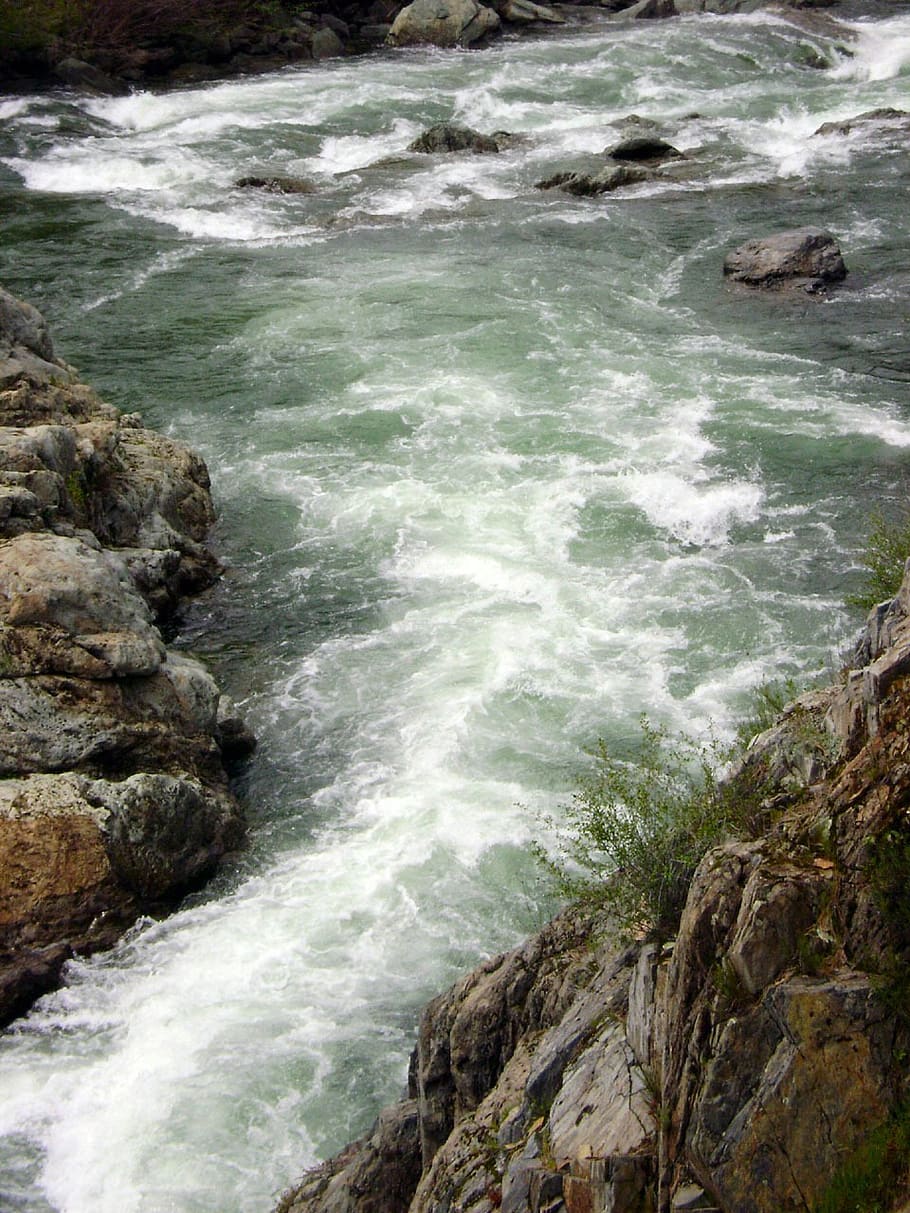 corriente, río, que fluye, flujos, estrecho, camino, rocas, piedras, agua, paisaje