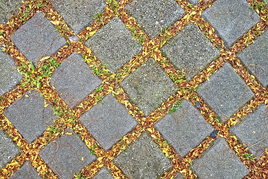 pavement, tile, stone, pattern, leaves, sidewalk, paving, urban, street, diamond shape
