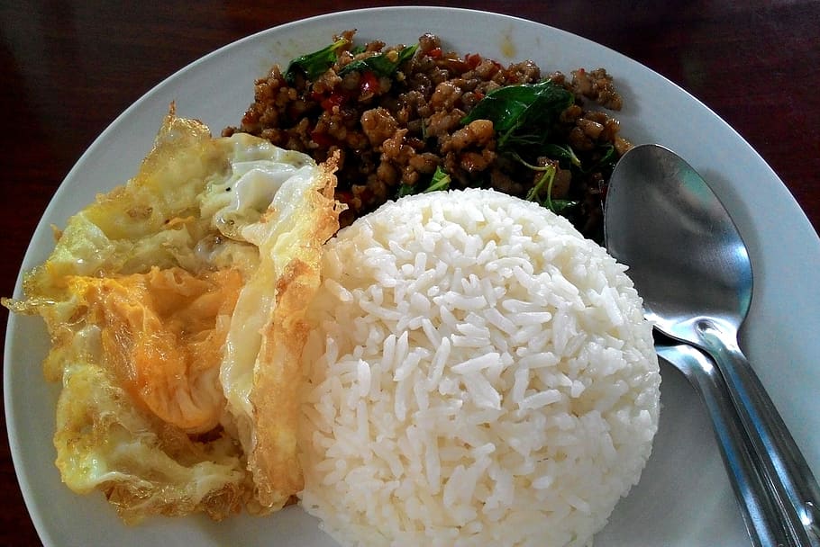 comida de tailandia, arroz, albahaca, cerdo, comida rápida, comida, lista para comer, comida y bebida, frescura, bienestar