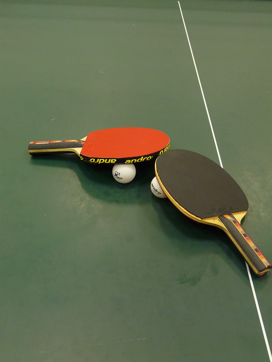 table tennis, ping-pong, bat, table tennis bat, sport, play, racket, ball, indoors, table